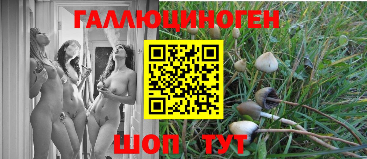 Псилоцибиновые грибы Magic Shrooms  Вход с VPN  Магнитогорск 